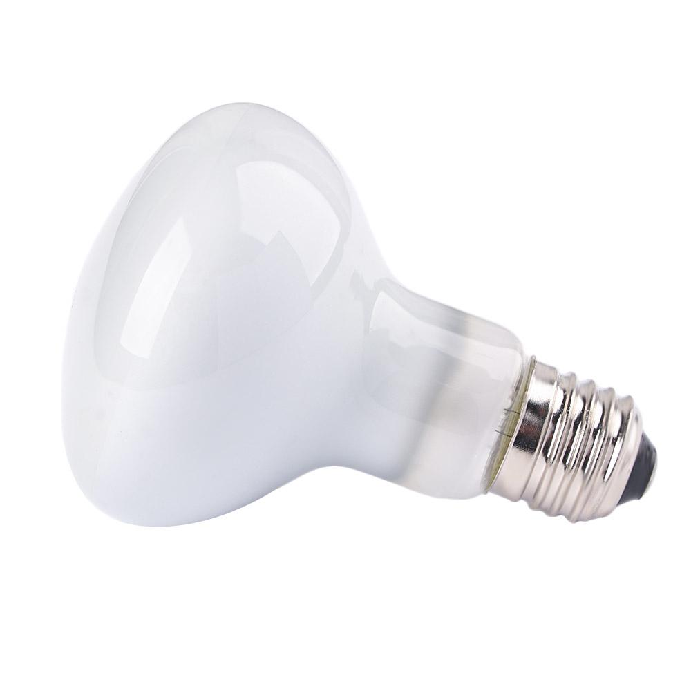 Lampu Pemanas Kadal Lampu UVA  - Basking Bulb Halogen ulasan dan harga