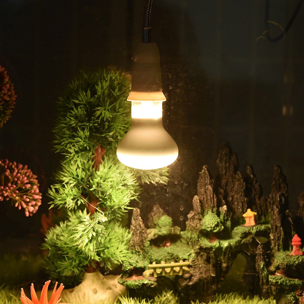 Lampu Pemanas Amfibi Lampu UVA - Basking Bulb Halogen ulasan dan harga
